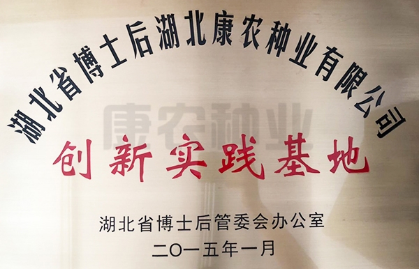 湖北省博士后创新实践基地