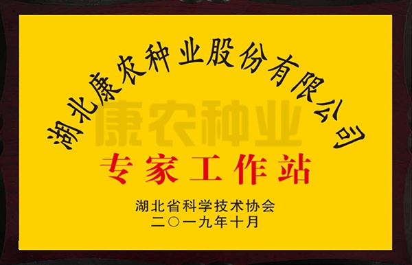 湖北康农种业股份有限公司专家工作站