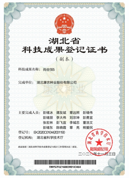尚谷555[登记证书]
