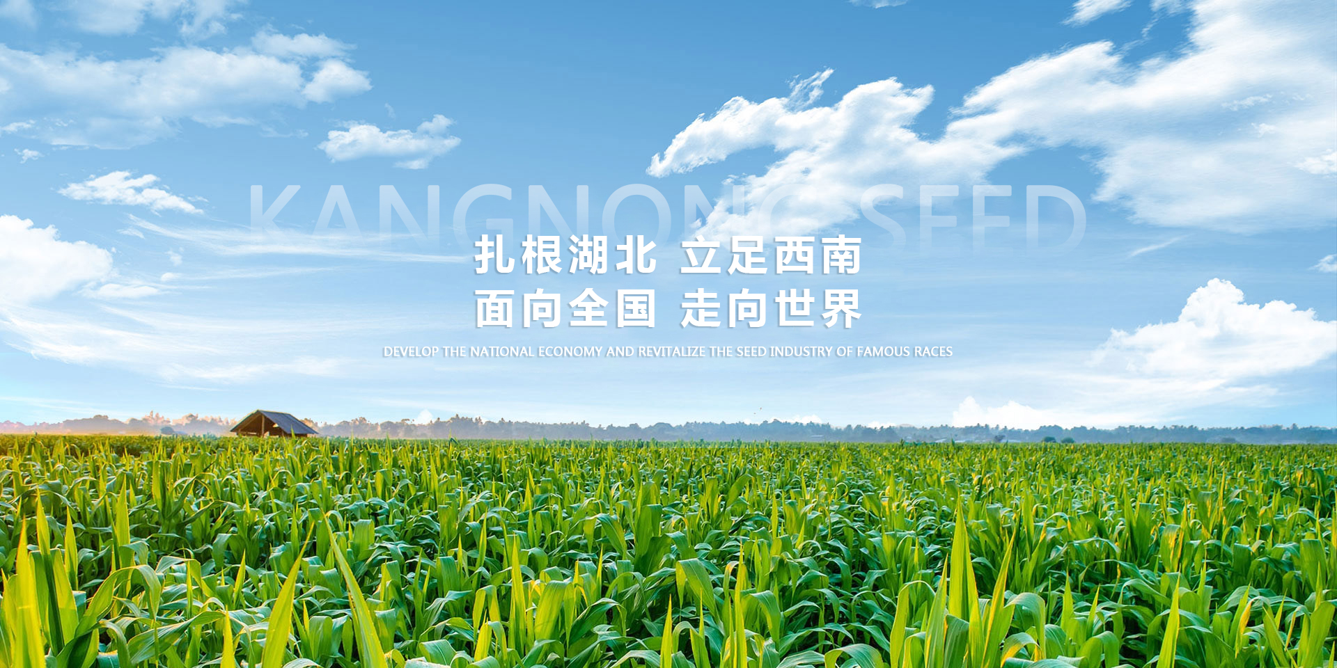 今晚买什么特马好