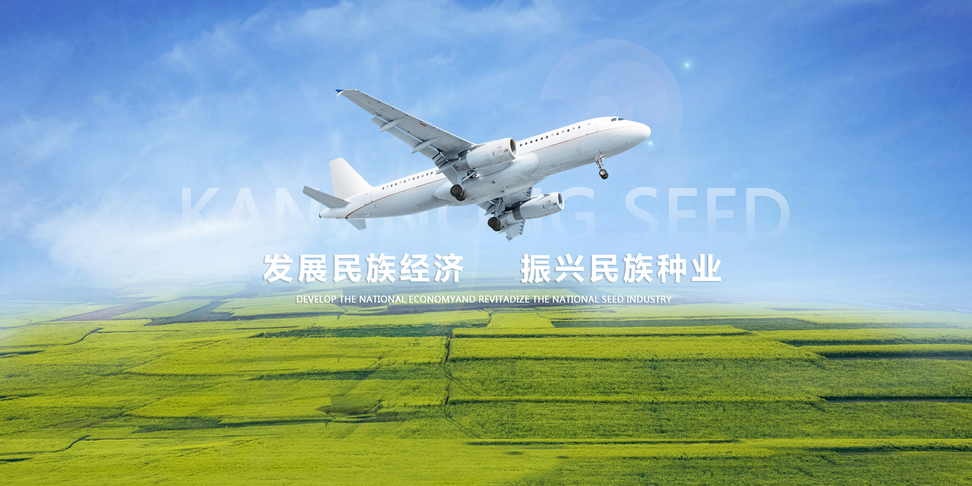 今晚买什么特马好