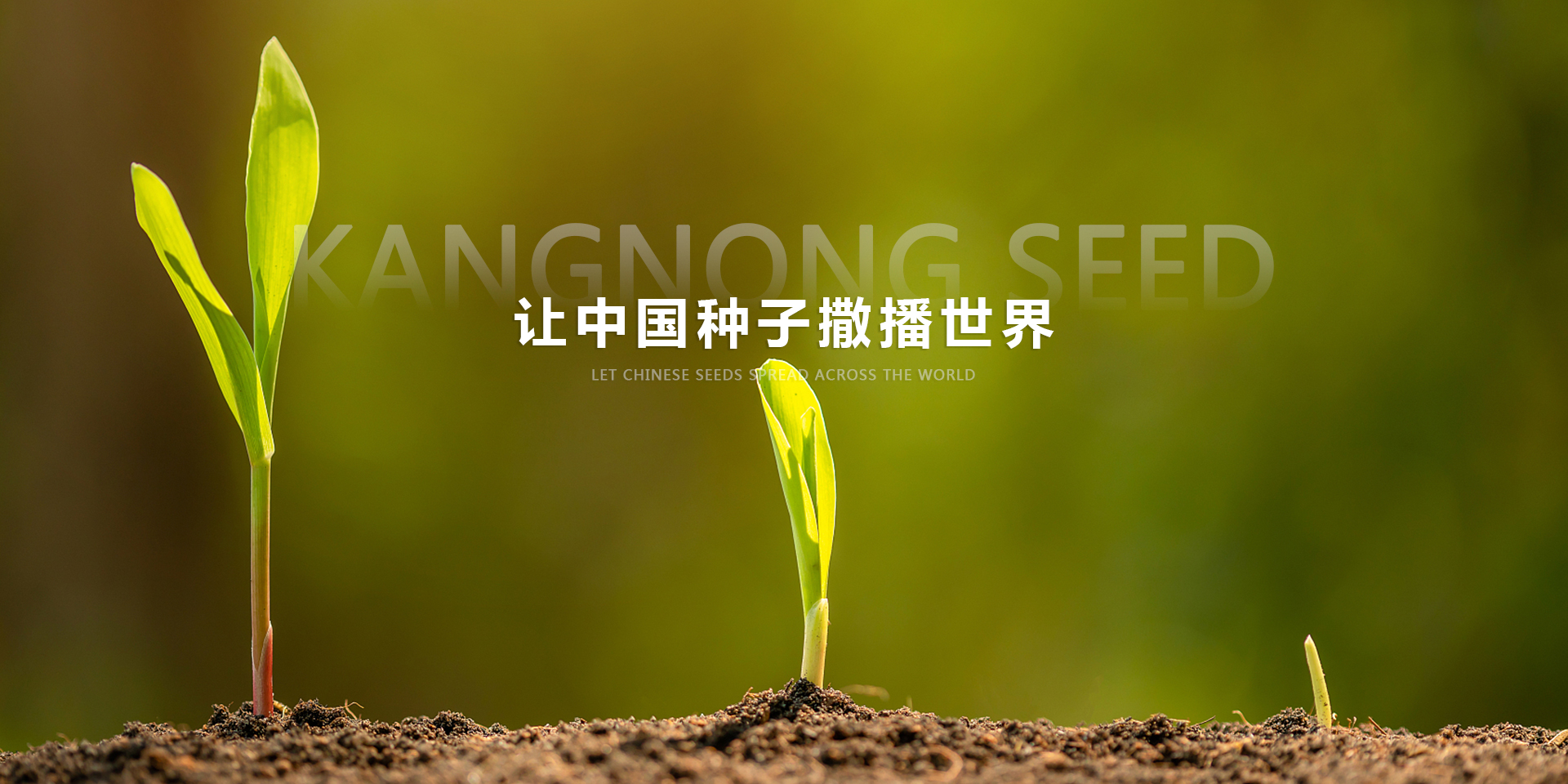 今晚买什么特马好